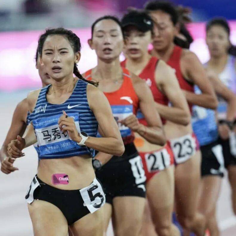 世界杯手机观看-重赏之下群星闪耀,且看金标重马5.5万美元冠军特奖落谁家